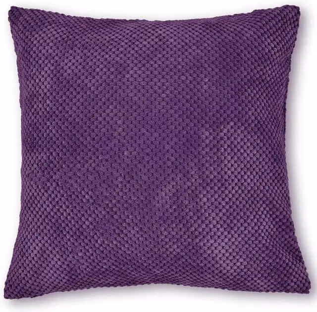 Intimates Elin Plush Square Filled Cushion in Purple, W/D/H: 43 x 43 x 43 cm