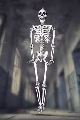 Shatchi Life Size Poseable Human Skeleton Halloween Decoration, White, Height: 165 cm – 7