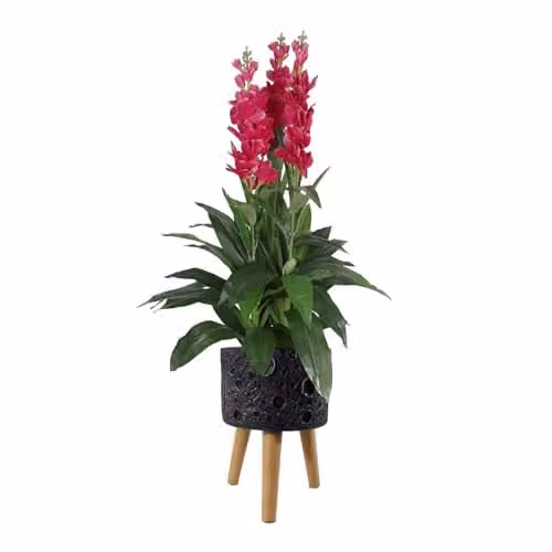 Leaf Extra Large Square Cachepot Planter in Black – 1