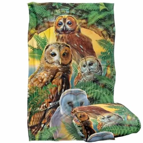 JQ Licensing Owl Collage Super Soft Silky Touch Fleece Throw Blanket, Multicolour, W/D/H: 91 x 147 cm