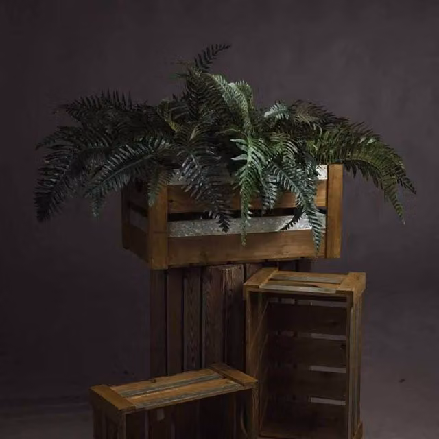 Lemon Pavilion Green Fern Bunch Artificial Plant, W: 57 cm, D: 80 cm, H: 60 cm – 1