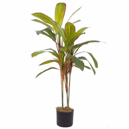 Leaf 100cm Artificial Potted Dracaena Tropical Green Plant