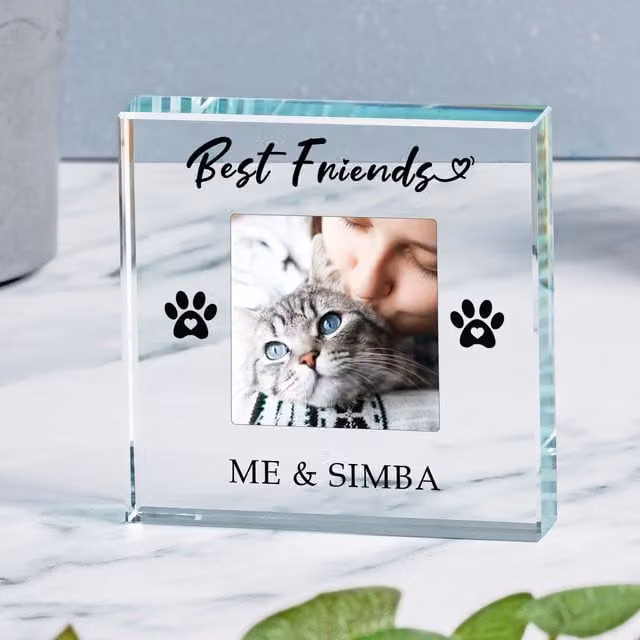 Uniqueful Personalised Pet Best Friends Glass Token in Transparent and Beige