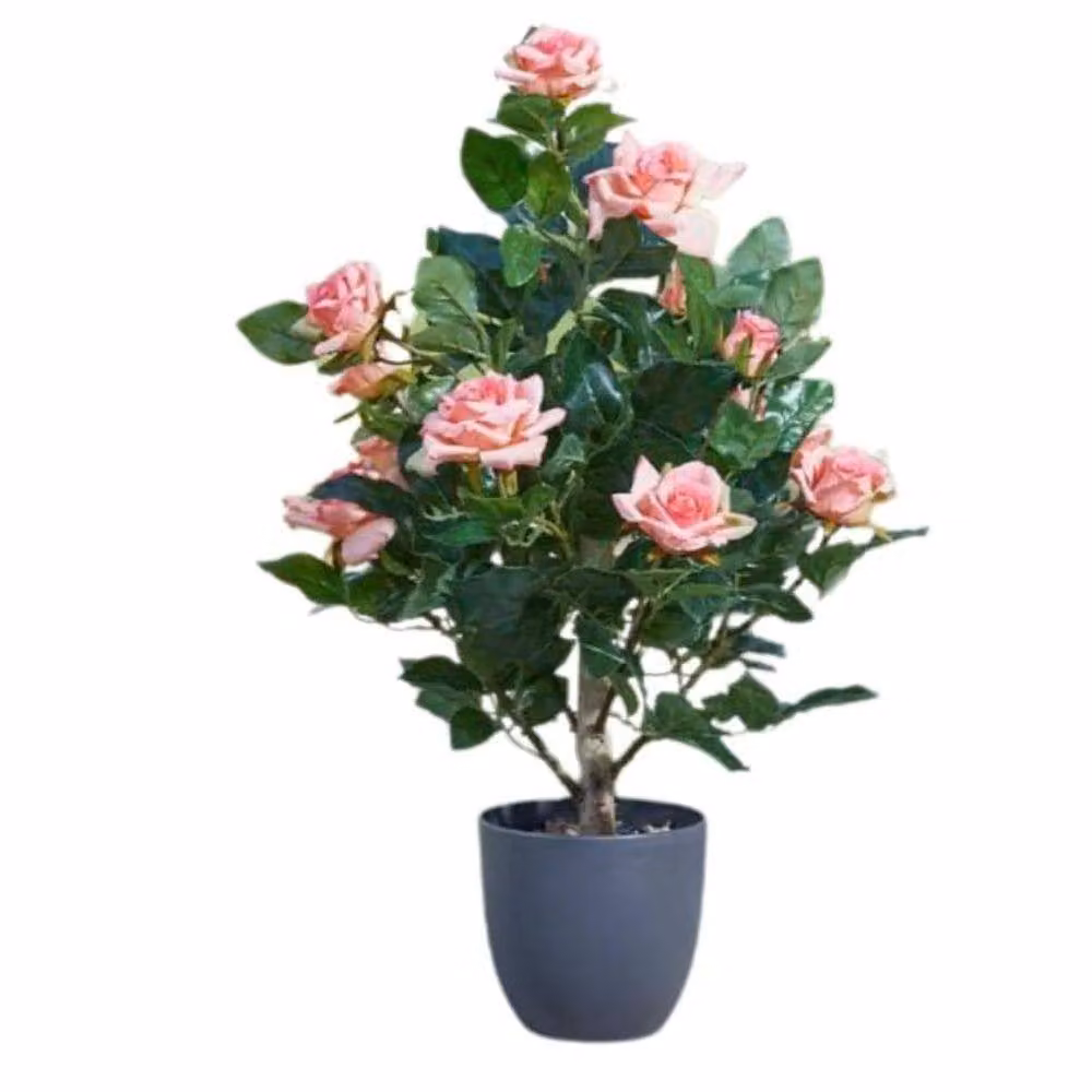 Marco Paul Pink Artificial Rose Potted Plant, Height: 60 cm – 2