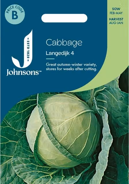 Johnsons Seeds Cabbage Langedijk 4 Vegetable Seeds, Green Spring Variety