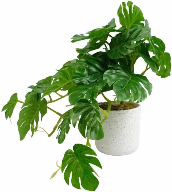 Leaf Design UK Green Artificial Potted Monstera Tabletop Plant, Height: 30 cm