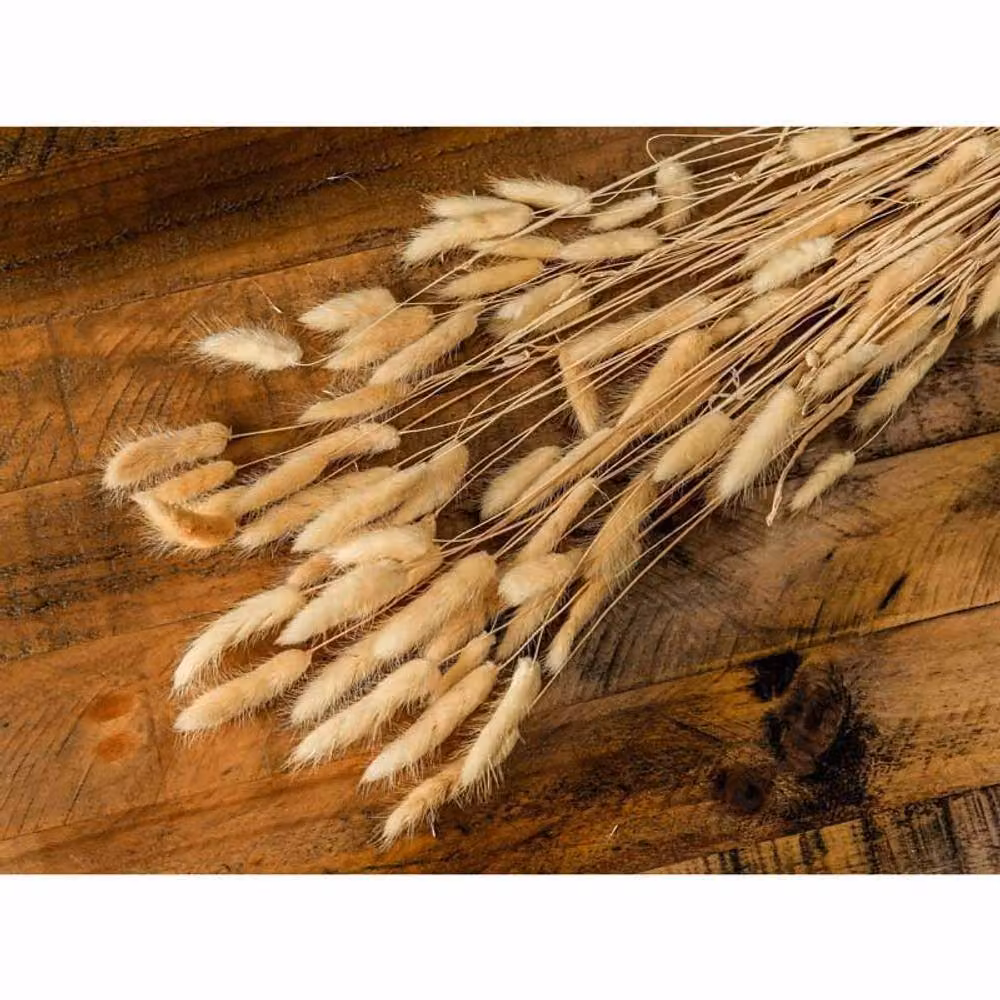 Lemon Pavilion Furniture and Decor Beige Tall Bunny Tails Artificial Plant Bouquet, W: 18 cm, D: 18 cm, H: 76 cm – 2