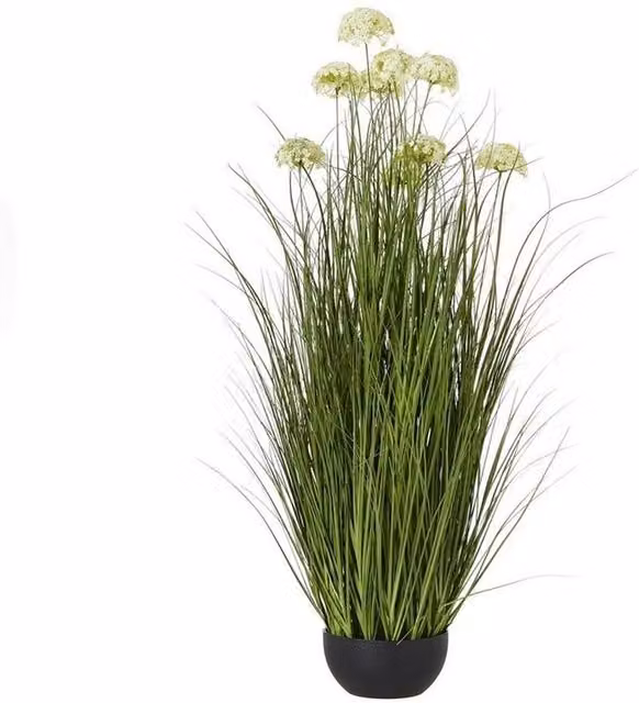 Lemon Pavilion Allium Potted Plant in White Plastic, W: 17 cm, D: 17 cm, H: 70 cm