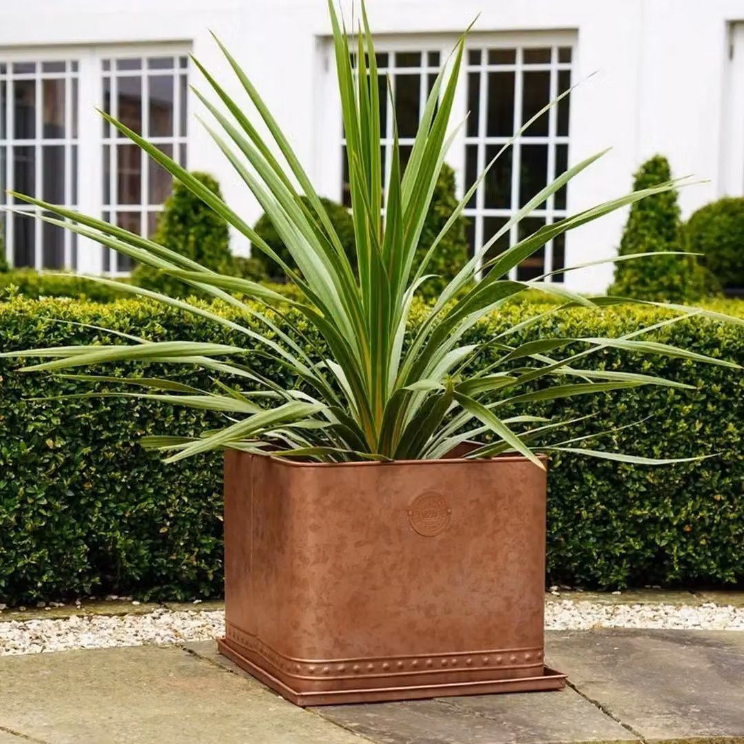 Royal Botanic Gardens Kew Regency Outdoor Planter, Aged Copper Bronze Galvanised Steel, Diameter: 38 cm – 4