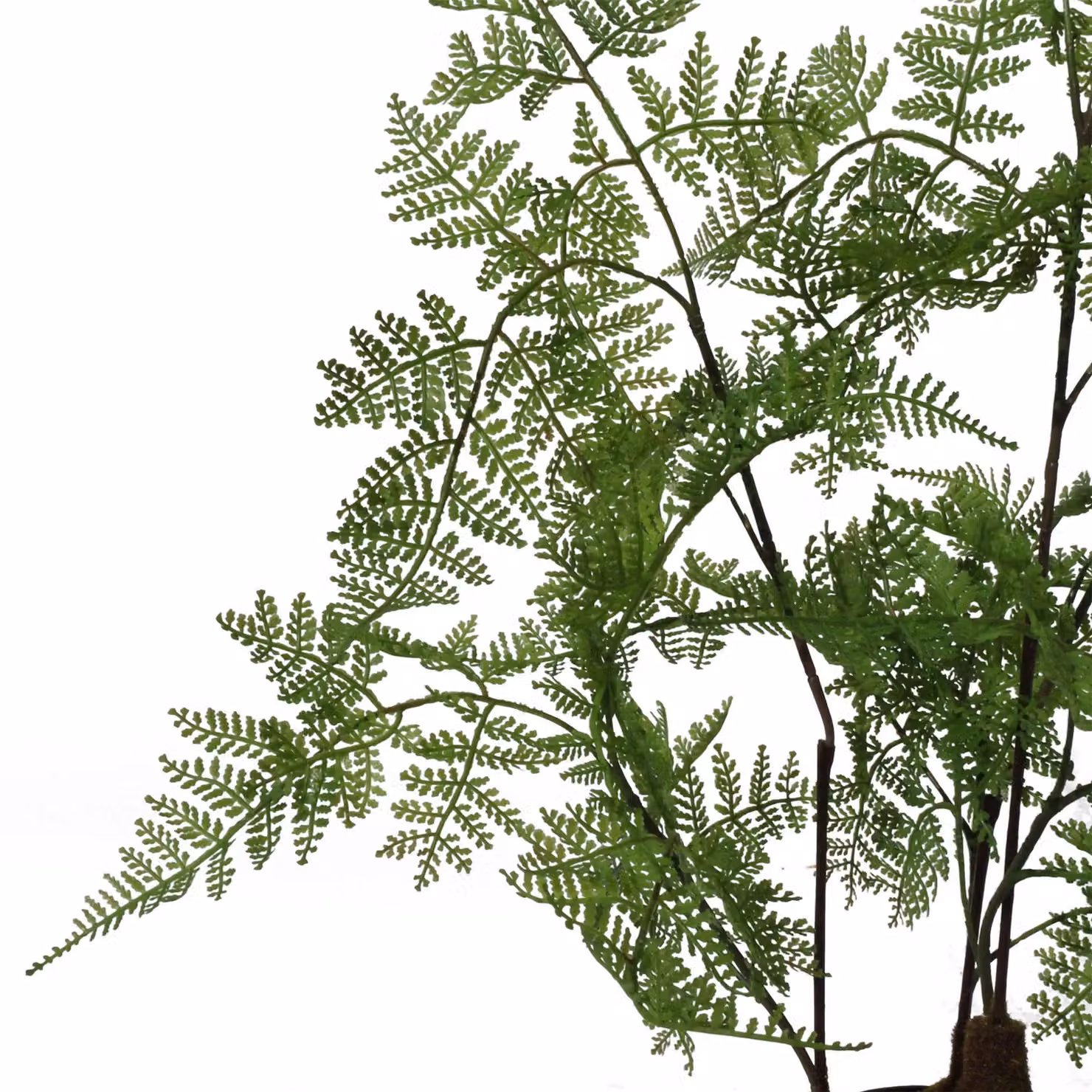 Leaf Design UK Extra Large Artificial Fern Foliage Plant in Green with Silver Metal Planter, Height: 150 cm – 5