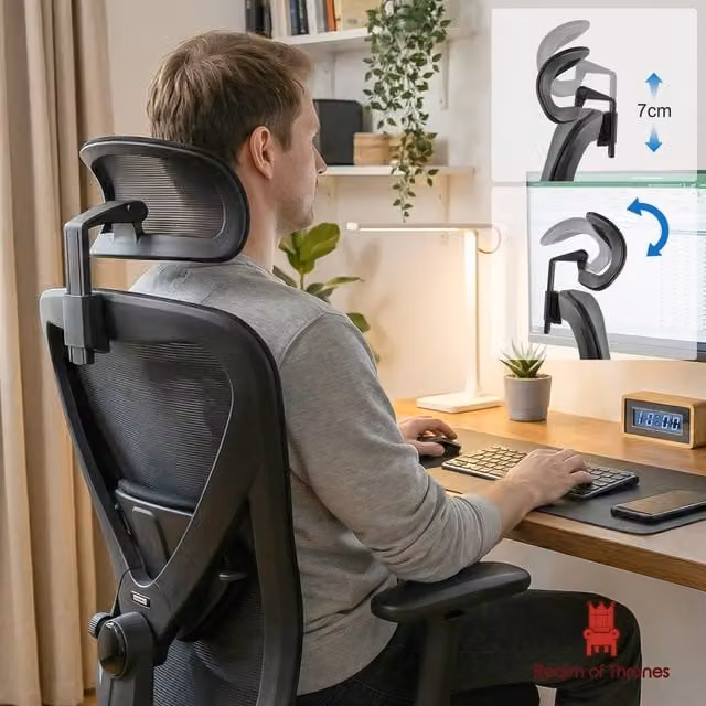 Realm of Thrones Ergonomic Mesh Swivel Office Chair with Headrest and 3D Armrests in Black – 1