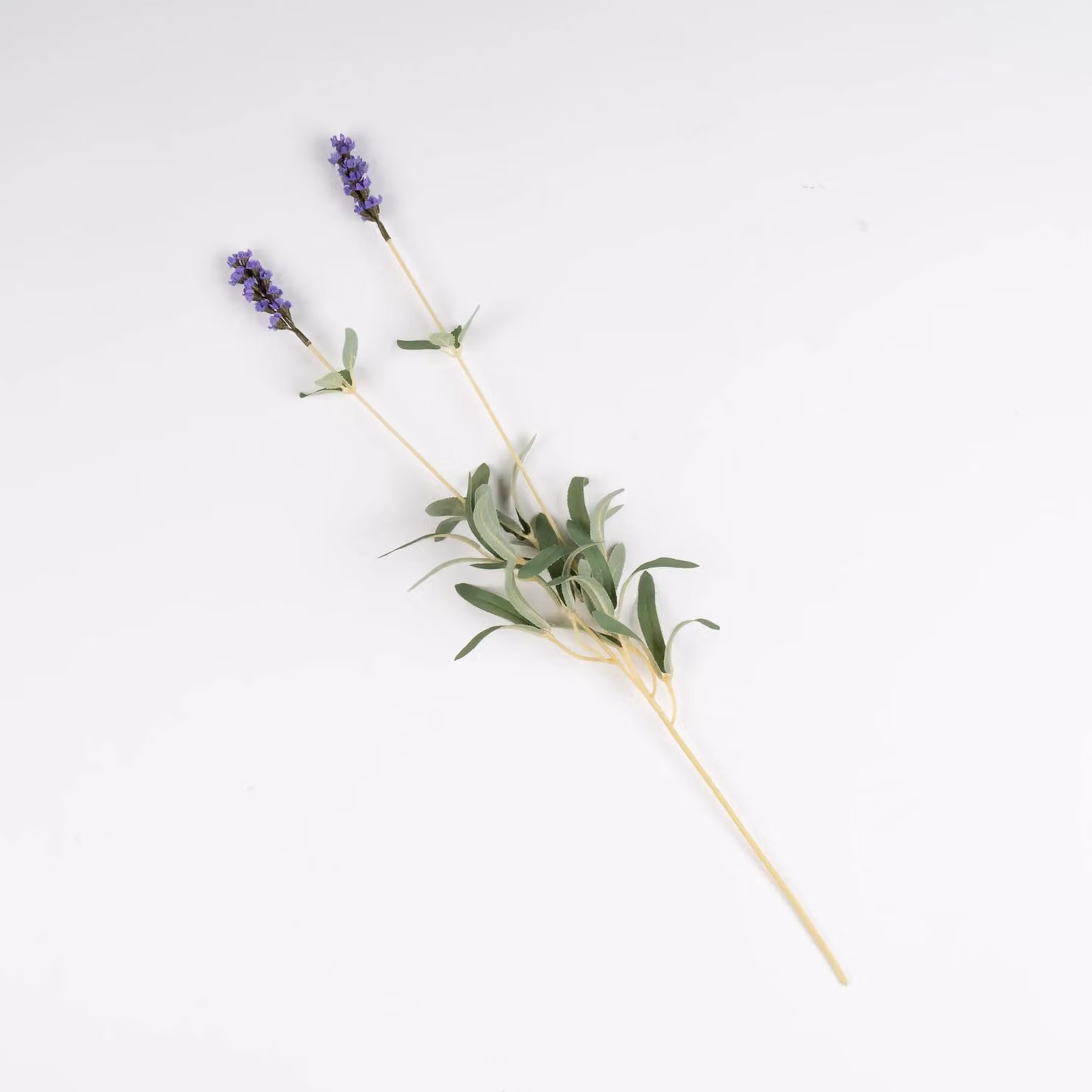 Scottish Everlastings Ltd Purple Lavender Stem Pack of 5, Height: 53 cm
