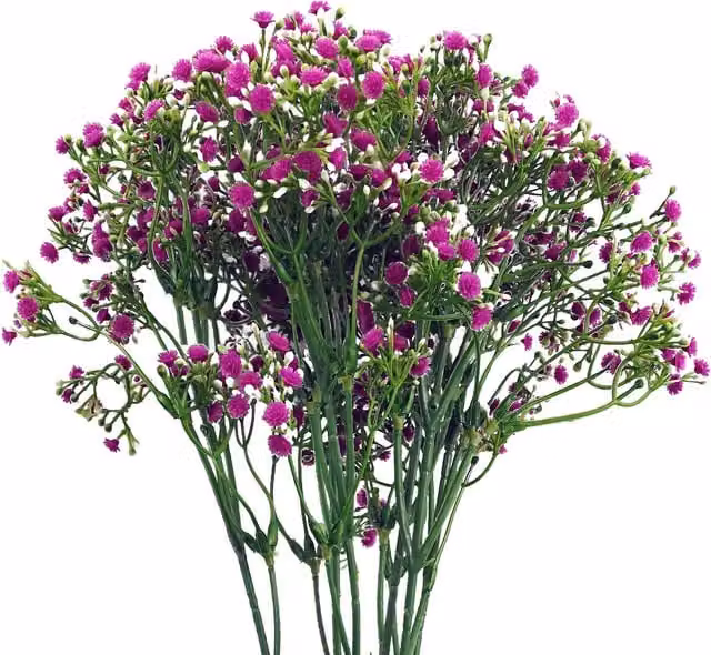 Pink Gypsophila Artificial Flower Stems with Leaves