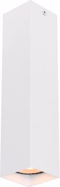 Netlighting Ander Surface Mounted Downlight, White, Diameter: 24 cm