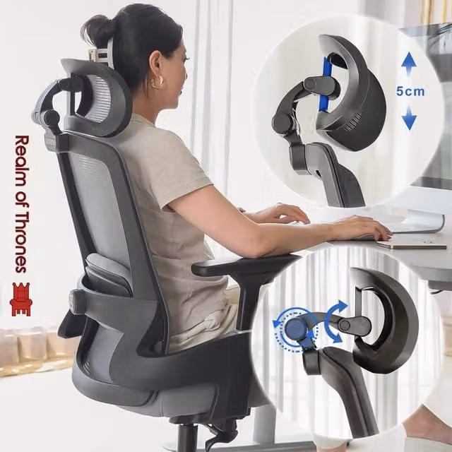 Realm of Thrones Black Ergonomic High Back Mesh Office Chair with Headrest and Armrests