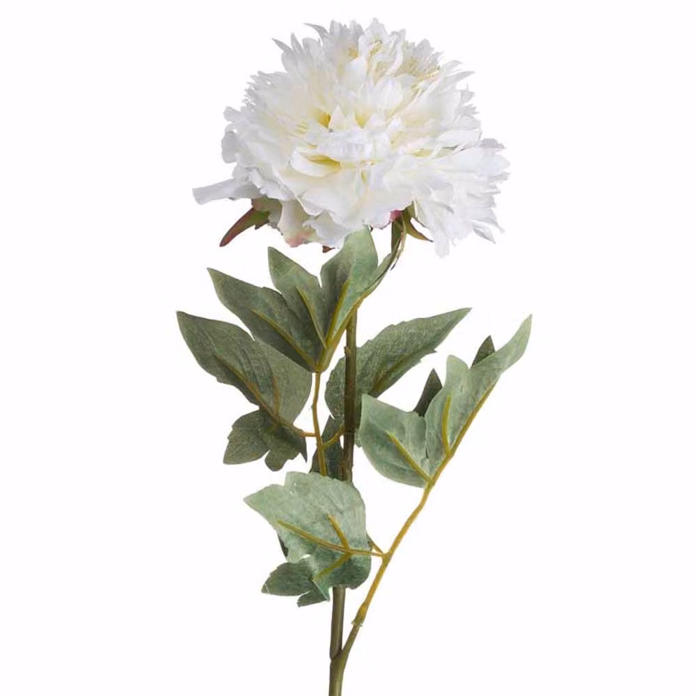 Lemon Pavilion Classic Peony Artificial Plant Single Stem in White, W/D/H: 13 x 13 x 69 cm – 3