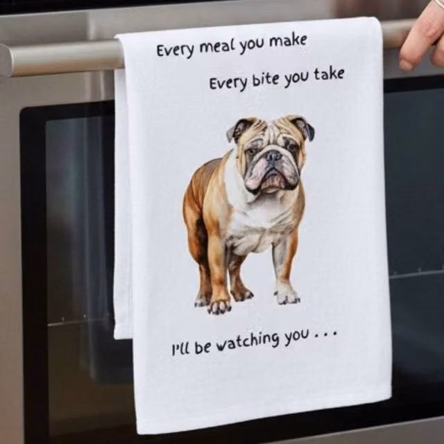 Animal Crackers English Bulldog Funny Wording Cotton Tea Towel, White and Grey, 66 cm – 1