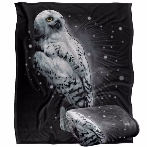 Warner Bros. Harry Potter Hedwig Snow Silky Touch Super Soft Fleece Throw Blanket, White and Multicolour, W: 127.0 cm, D: 152.4 cm – 1