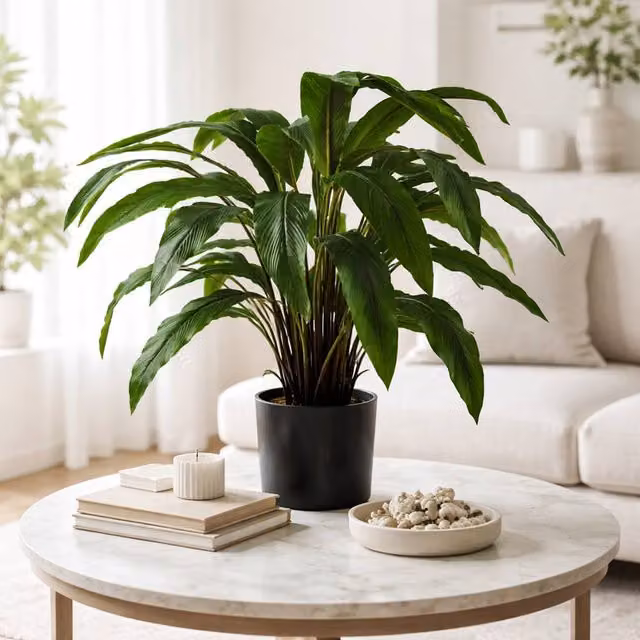 Leaf Design UK 60cm Potted Artificial Green Calathea Plant – 1