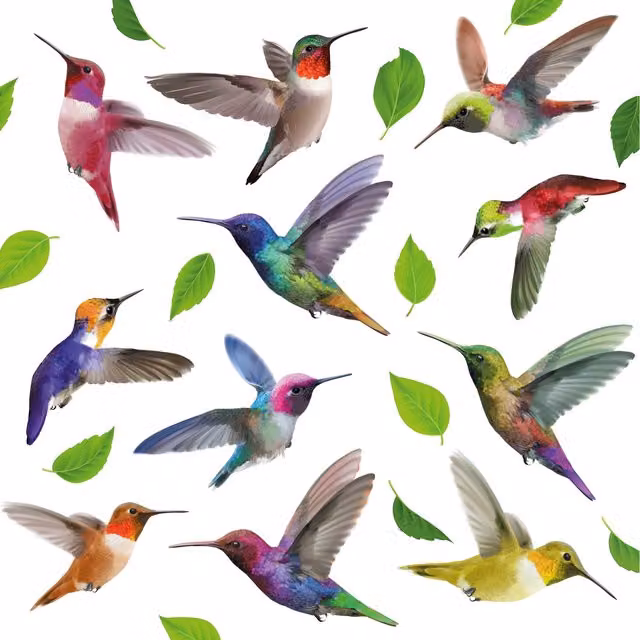 Walplus Blue Hummingbird and Floral Adhesive Window Clings