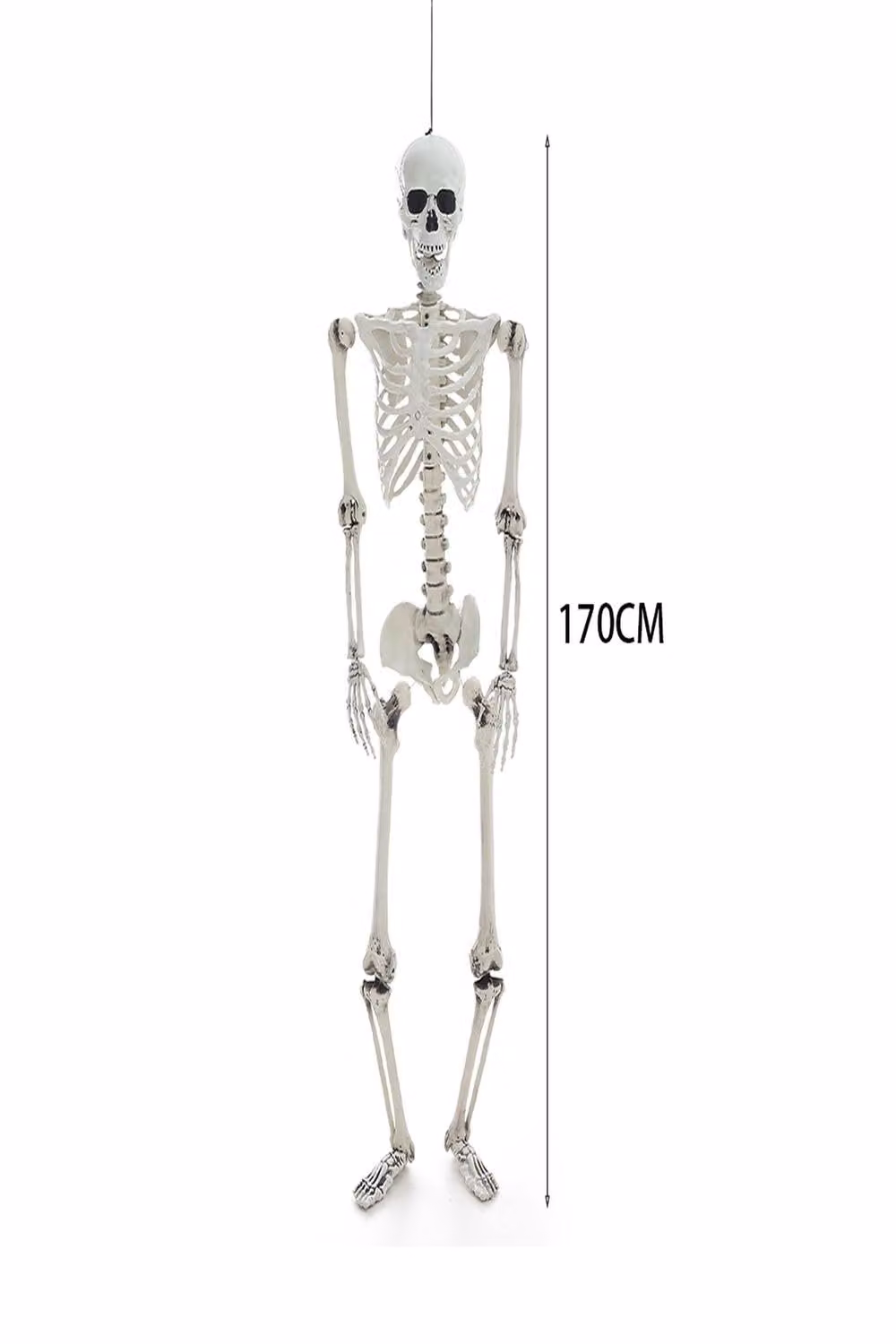 Garden Sanctuary Realistic Full Body Human Skeleton Halloween Decoration with Posable Joints in White – 3