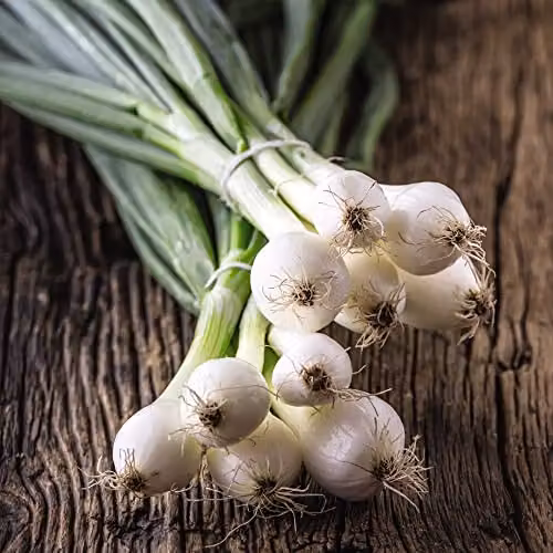 Thompson and Morgan Paris Silver Skinned Pickling Onion Seeds, Approx. 30 Seeds per Packet