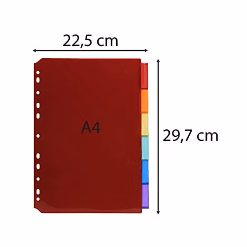 Exacompta A4 Plastic Dividers with 6 Blank Tabs in Translucent Multicolour – 2