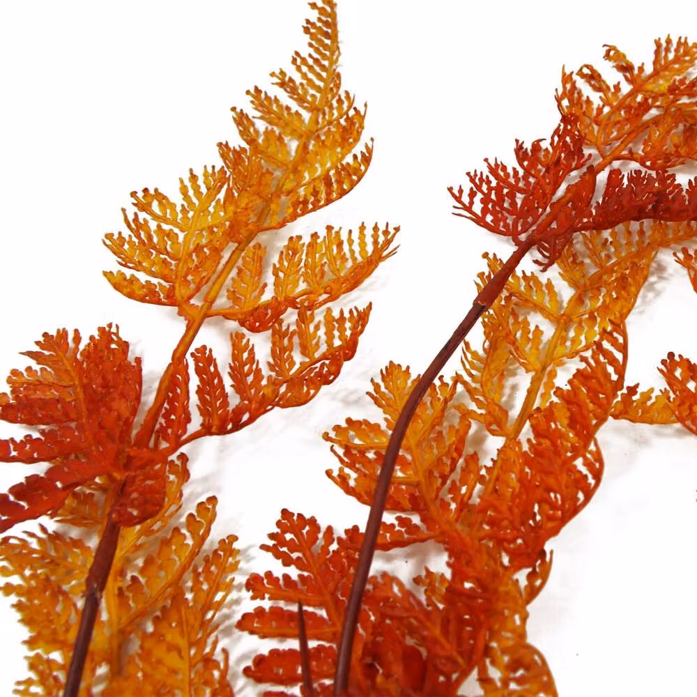 Botanik Artificial Hanging Maidenhair Fern Plant in Autumn Orange, 6 x 100 cm – 3