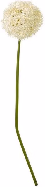 Lemon Pavilion Giant Allium Single Stem Plastic Flower in Beige and White, Height: 90 cm