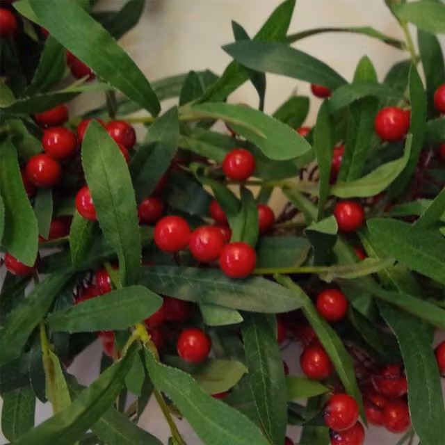Botanik Luxury Artificial Christmas Mistletoe Leaf and Red Berry Wreath in Green and Red, Diameter: 60 cm