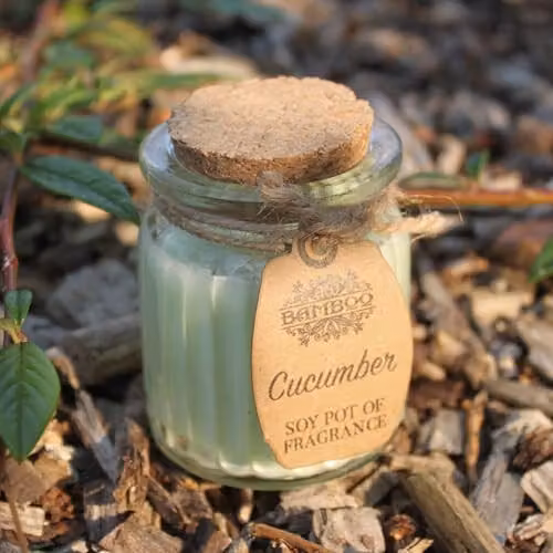LBS4ALL Cucumber Scented Soy Wax Glass Jar Candle, Green and Brown, 317 g – 2