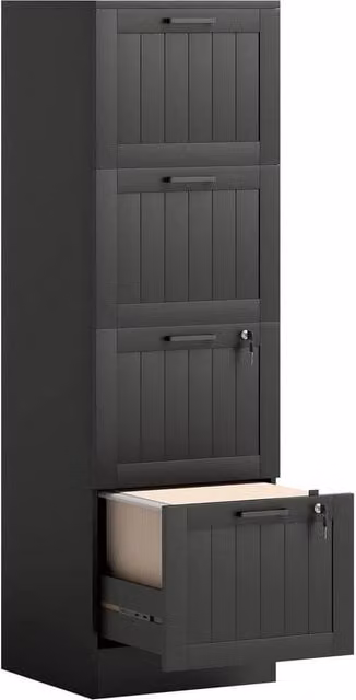 PAWNORA 4 Drawer Lockable File Cabinet in Black