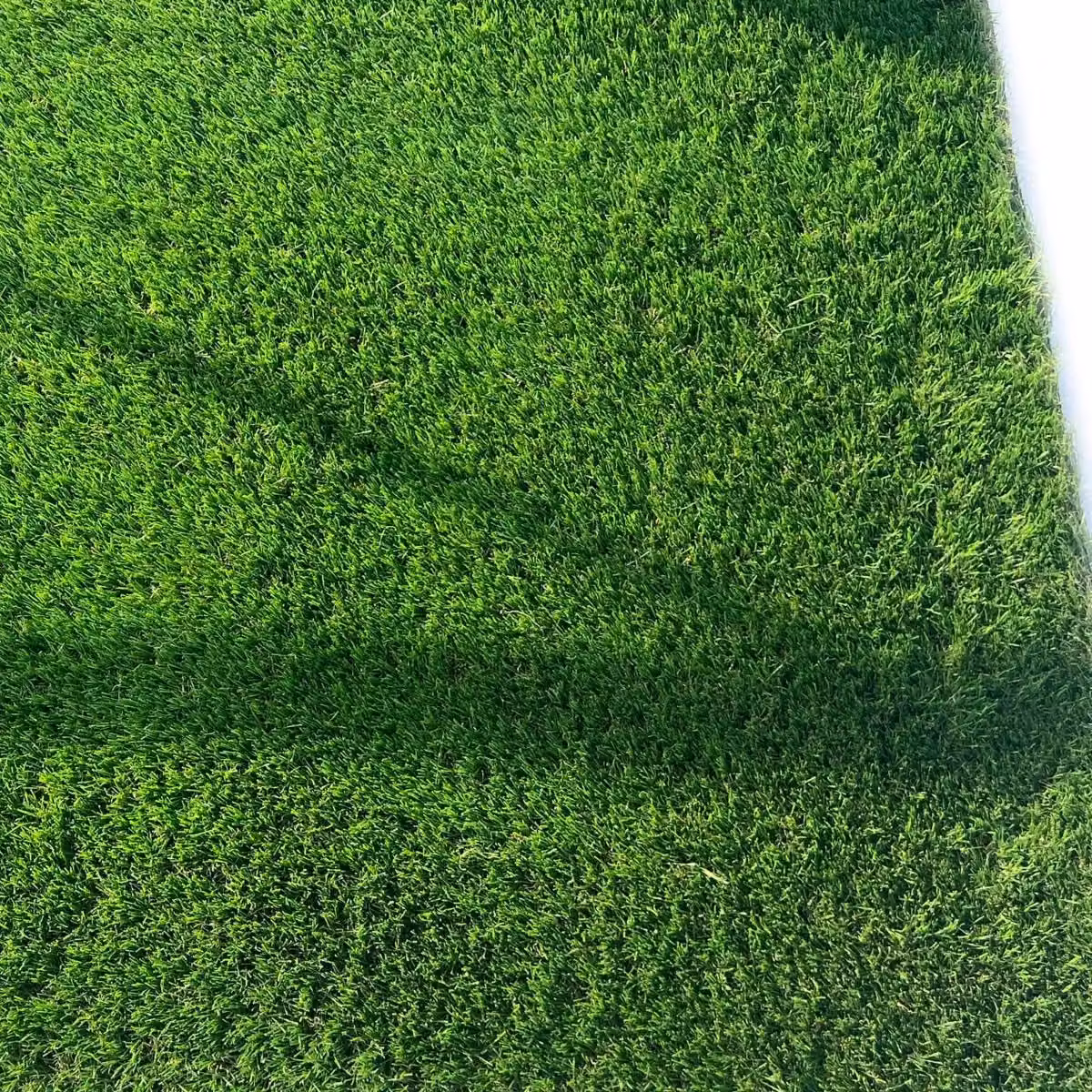 Artificial Grass GB London 45mm Artificial Grass in Green, W: 200 cm, L: 900 cm – 4