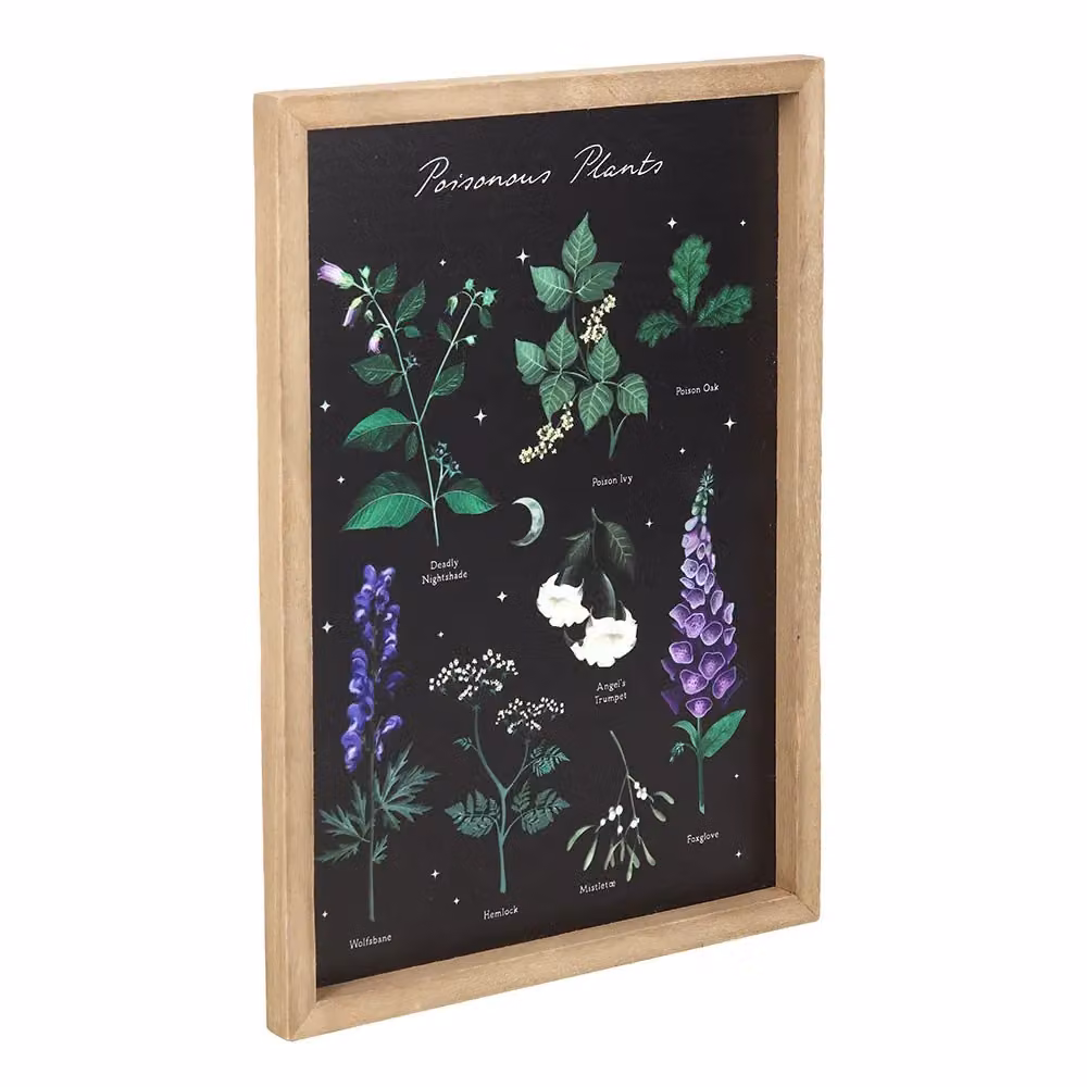 Something Different Poisonous Plants Framed Wall Art, Multicolour Botanical Floral Vintage Print, W/H: 35 x 25 cm – 2