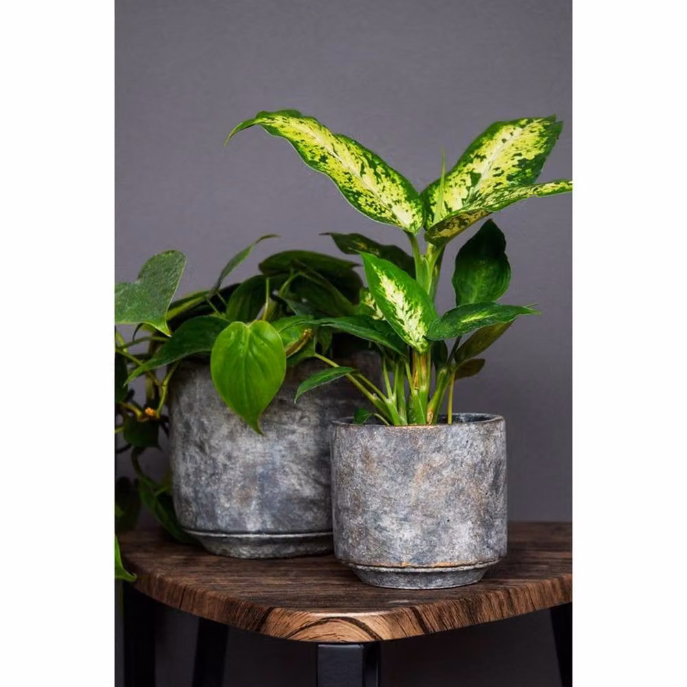 Lemon Pavilion Furniture and Decor Tivoli Round Concrete Planter, Grey, W: 26 cm, D: 26 cm, H: 25 cm – 2