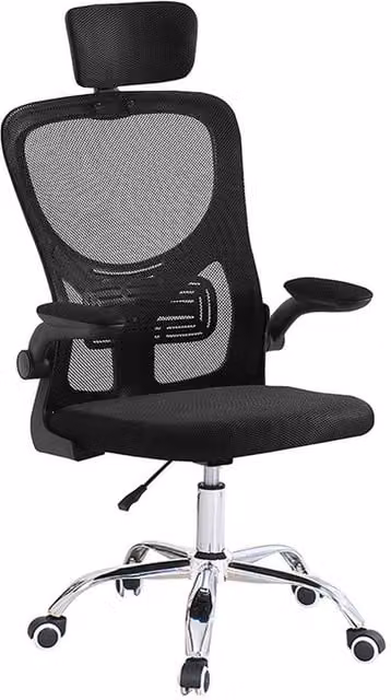 FORGEVIO Black Mesh Task Chair with Headrest and Armrests for Home Office