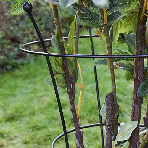 Thompson & Morgan Set of 3 Black Steel Peony Frame Outdoor Garden Plant Support Rings, W/D/H: 40 x 40 x 54 cm – 3