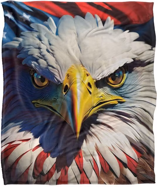 JQ Licensing James Piazza Red, White and Blue Eagle Silky Touch Super Soft Fleece Throw Blanket W: 152 cm, D: 127 cm – 5