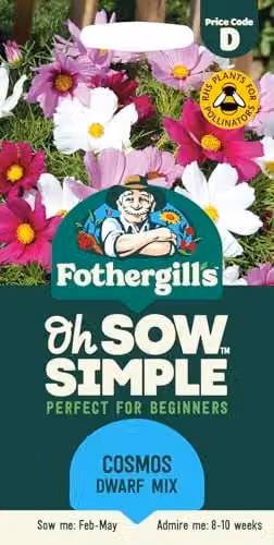Mr Fothergill's Oh Sow Simple Cosmos Dwarf Mix Flower Seeds, Pink, White and Red