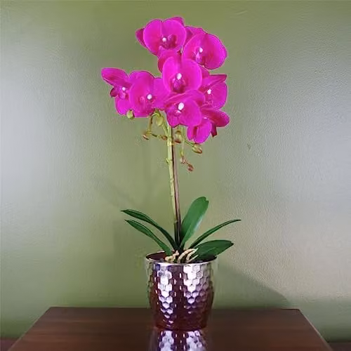 Leaf Phalaenopsis Orchid Artificial Plant in Pink and Silver, Height: 50 cm