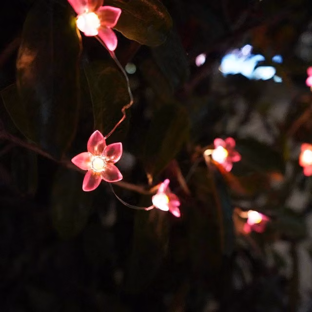 Voltico 30 Solar LED Lily Flower String Lights in Pink – 1