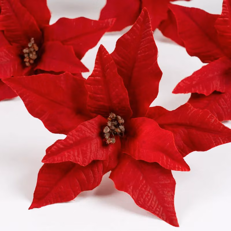 Scottish Everlastings Ltd Red Poinsettia Clip Set of 6, 18 cm – 3