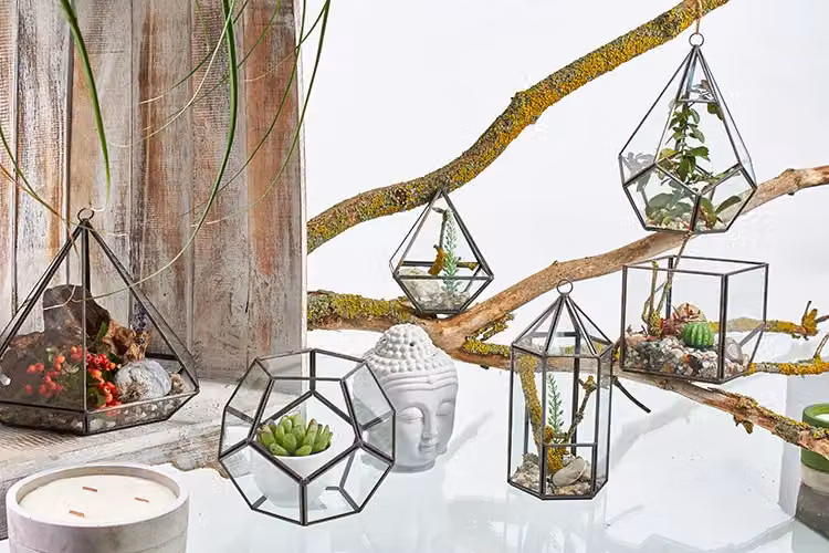 KDMD Large Octagon Geometric Glass and Metal Tabletop Terrarium in Brown – 2