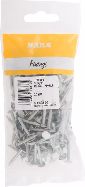 Hiatt 25mm Broad Flat Clout Nails, Silver