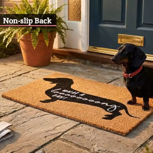 Orsina What A Long Day Sausage Dog Doormat, Humorous Coir and PVC Mat with Dachshund Print, W/D/H: 100 x 60 x 2 cm – 3