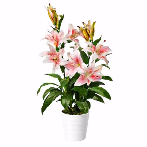 Leaf Large Artificial Stargazer Style Lily Plant in Pink and Green, Height: 90 cm – 1