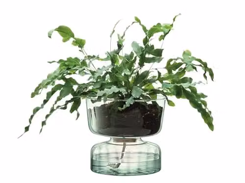 LSA International Canopy Recycled Self Watering Planter, Transparent Glass, H 22 cm x W 22 cm x D 22 cm