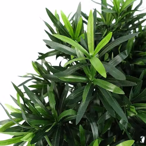 Botanik Green Tabletop Artificial Tree – 4