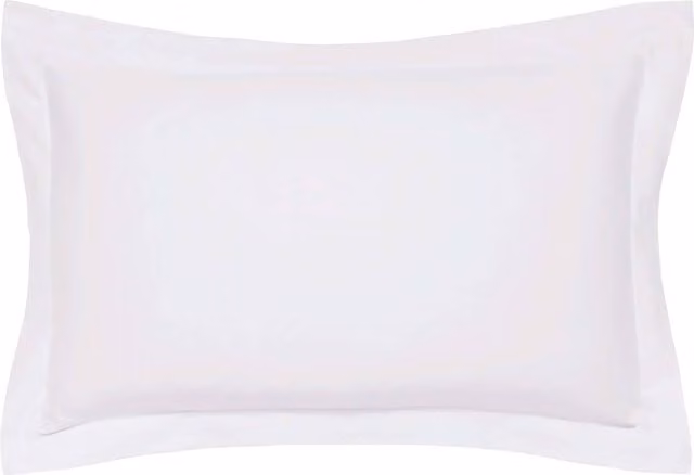 Bedeck of Belfast Fine Linens 1951 1000 Thread Count Egyptian Cotton Oxford Pillowcase in Silver – 1