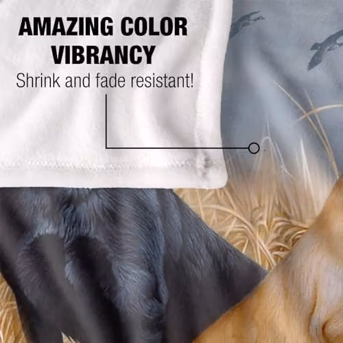 JQ Licensing Labrador Hunting Dogs Silky Touch Super Soft Fleece Throw Blanket, White, W/D/H: 152 x 127 cm – 2